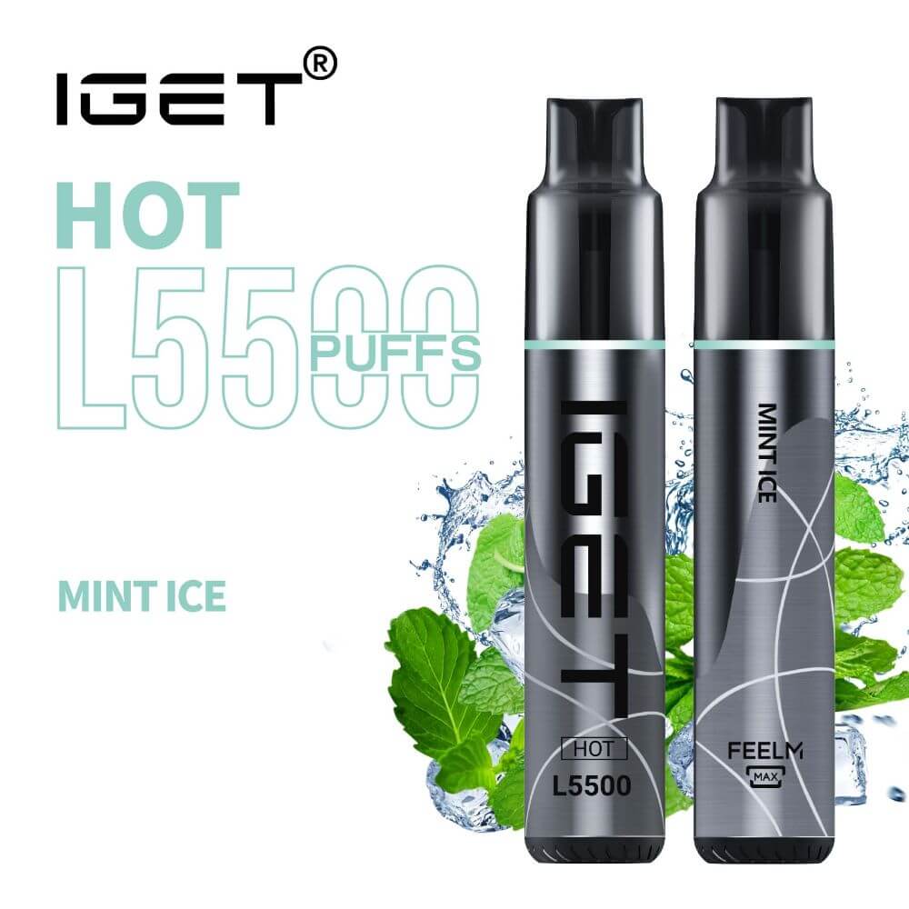 IGET Hot Mint Ice, 5,500 puff disposable vape, 50mg nicotine, Australia