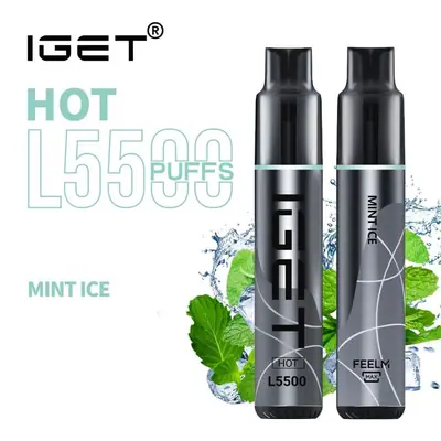 IGET Hot Mint Ice, 5,500 puff disposable vape, 50mg nicotine, Australia