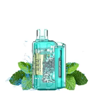 IGET Flare Mountain Spring Mint, 10,000 puff disposable vape, 50mg nicotine, Australia